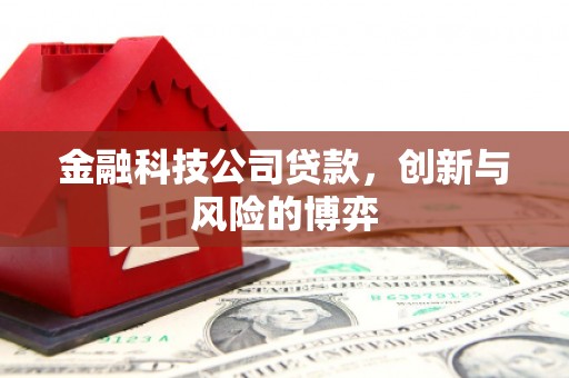 安居金融科技公司贷款，创新与风险的博弈