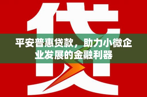 安居平安普惠贷款，助力小微企业发展的金融利器