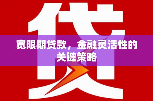 安居宽限期贷款，金融灵活性的关键策略
