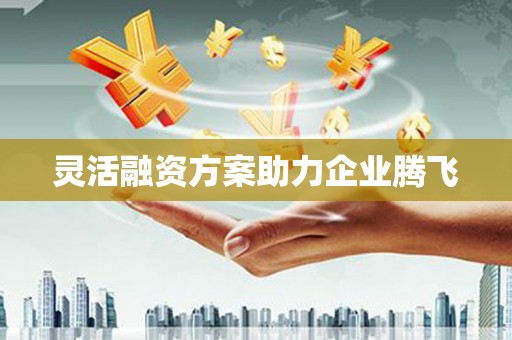 安居灵活融资方案助力企业腾飞