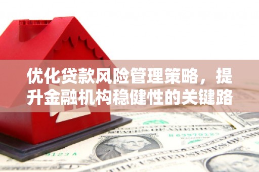 安居优化贷款风险管理策略，提升金融机构稳健性的关键路径