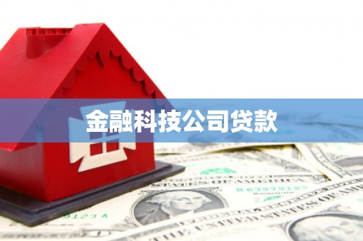安居金融科技公司贷款
