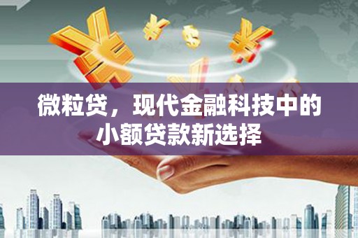 安居微粒贷，现代金融科技中的小额贷款新选择