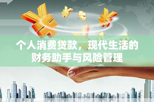安居个人消费贷款，现代生活的财务助手与风险管理
