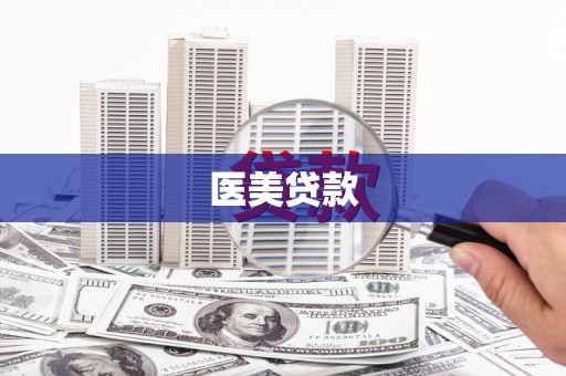 安居医美贷款