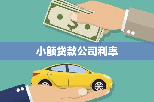 安居小额贷款公司利率