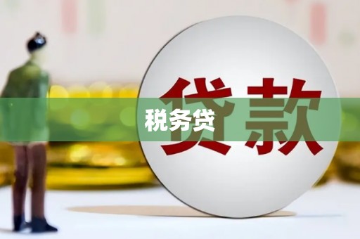 安居税务贷