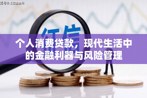 安居个人消费贷款，现代生活中的金融利器与风险管理