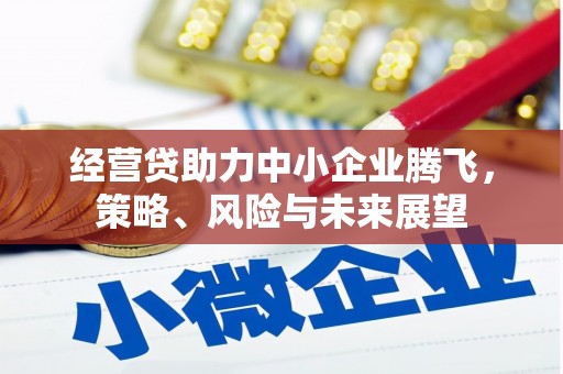 安居经营贷助力中小企业腾飞，策略、风险与未来展望