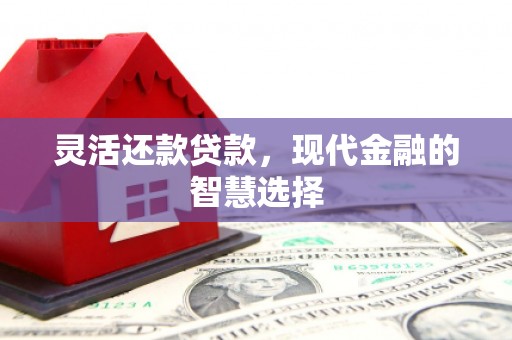 安居灵活还款贷款，现代金融的智慧选择