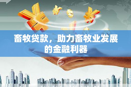 安居畜牧贷款，助力畜牧业发展的金融利器