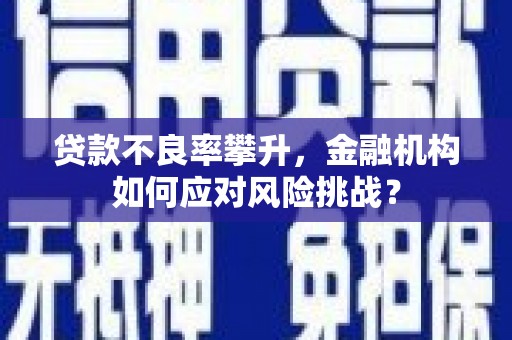 安居贷款不良率攀升，金融机构如何应对风险挑战？