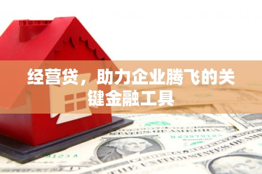 安居经营贷，助力企业腾飞的关键金融工具