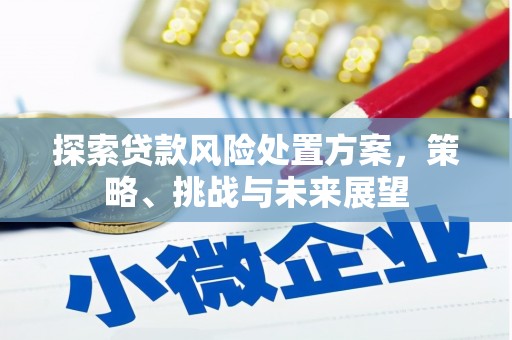 安居探索贷款风险处置方案，策略、挑战与未来展望