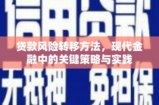 安居贷款风险转移方法，现代金融中的关键策略与实践