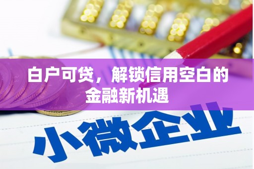 安居白户可贷，解锁信用空白的金融新机遇