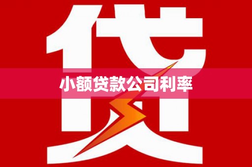 安居小额贷款公司利率