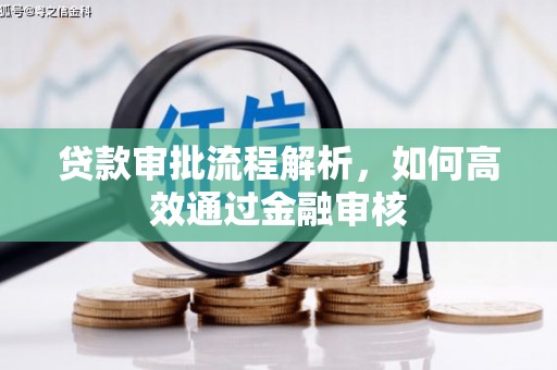 安居贷款审批流程解析，如何高效通过金融审核