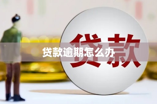 安居贷款逾期怎么办