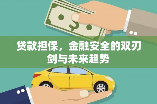 安居贷款担保，金融安全的双刃剑与未来趋势