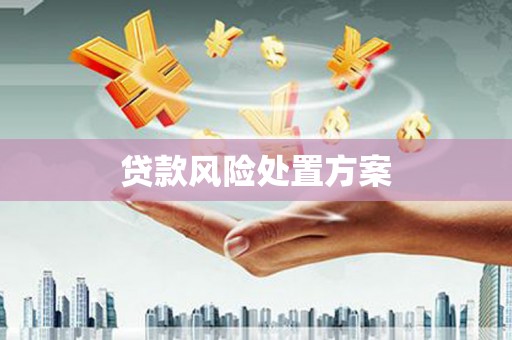 安居贷款风险处置方案