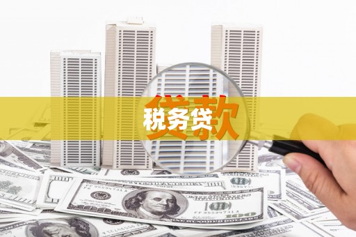 安居税务贷