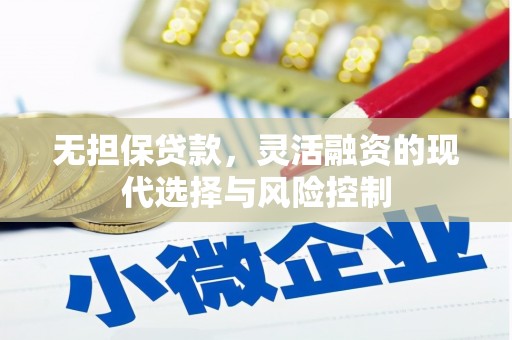 安居无担保贷款，灵活融资的现代选择与风险控制