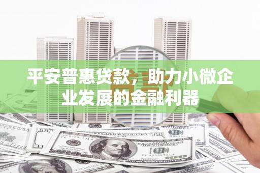 安居平安普惠贷款，助力小微企业发展的金融利器