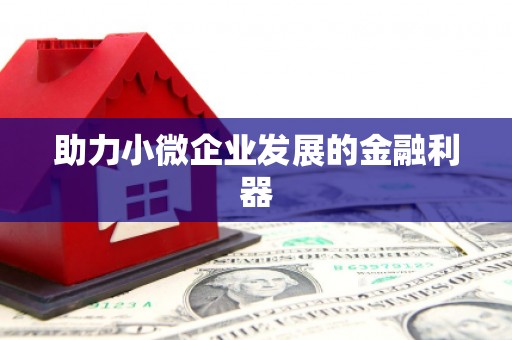 安居助力小微企业发展的金融利器