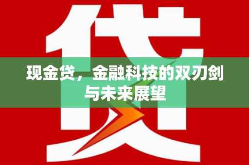 安居现金贷，金融科技的双刃剑与未来展望