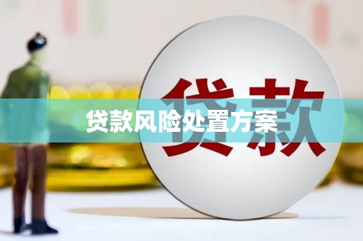 安居贷款风险处置方案
