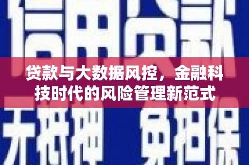 安居贷款与大数据风控，金融科技时代的风险管理新范式