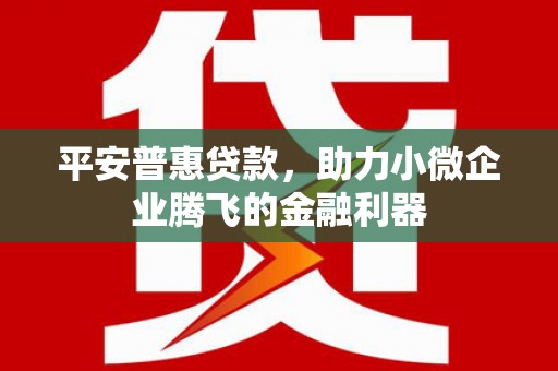 安居平安普惠贷款，助力小微企业腾飞的金融利器