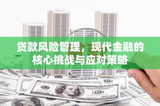 安居贷款风险管理，现代金融的核心挑战与应对策略