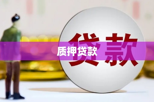 安居质押贷款