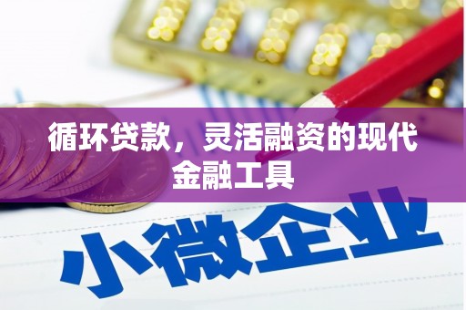 安居循环贷款，灵活融资的现代金融工具