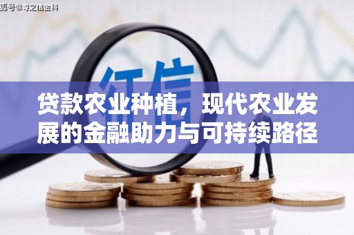 安居贷款农业种植，现代农业发展的金融助力与可持续路径