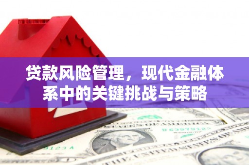 安居贷款风险管理，现代金融体系中的关键挑战与策略