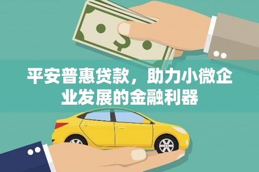 安居平安普惠贷款，助力小微企业发展的金融利器