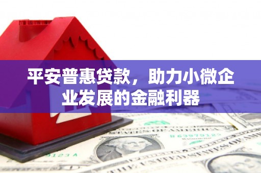 安居平安普惠贷款，助力小微企业发展的金融利器