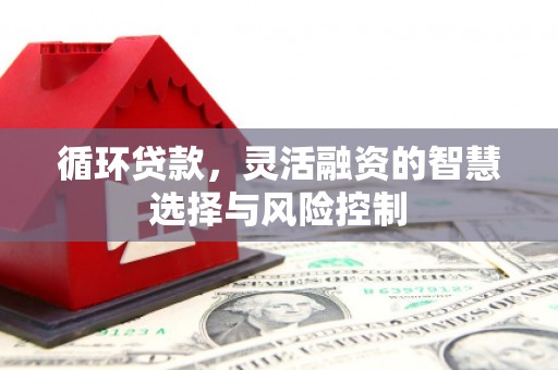 安居循环贷款，灵活融资的智慧选择与风险控制