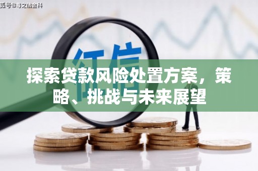 安居探索贷款风险处置方案，策略、挑战与未来展望