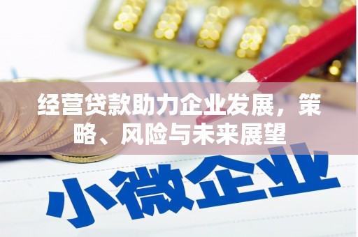 安居经营贷款助力企业发展，策略、风险与未来展望