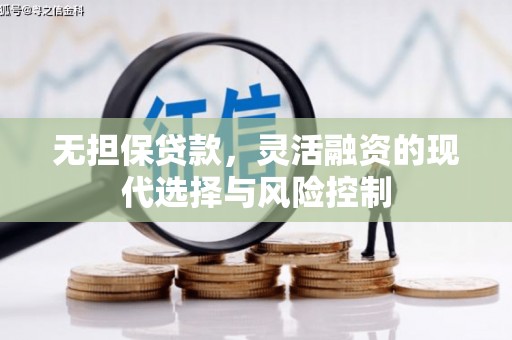 安居无担保贷款，灵活融资的现代选择与风险控制