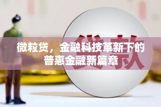 安居微粒贷，金融科技革新下的普惠金融新篇章