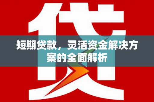 安居短期贷款，灵活资金解决方案的全面解析