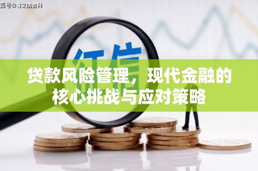 安居贷款风险管理，现代金融的核心挑战与应对策略