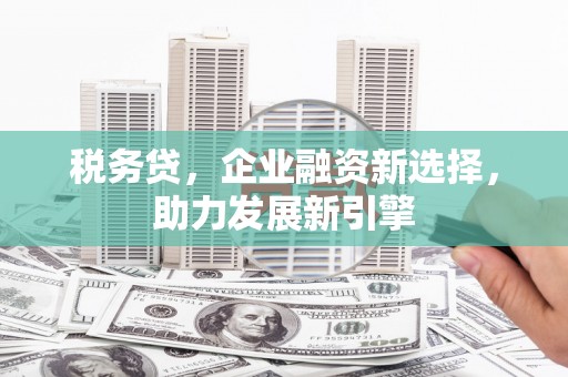 安居税务贷，企业融资新选择，助力发展新引擎