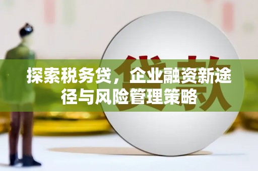 安居探索税务贷，企业融资新途径与风险管理策略