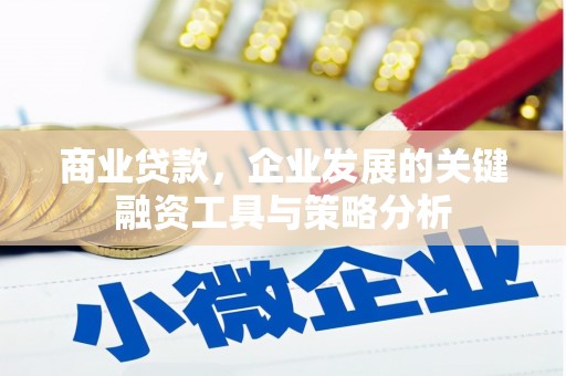 安居商业贷款，企业发展的关键融资工具与策略分析